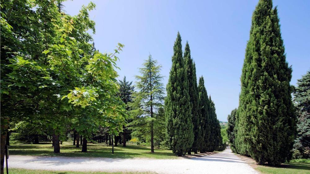 לינה וארוחת בוקר Convento Di San Francesco Mondaino מראה חיצוני תמונה